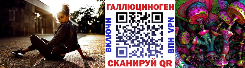 купить закладку  Вытегра  Галлюциногенные грибы Psilocybe 